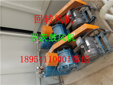 20190818_145319.jpg