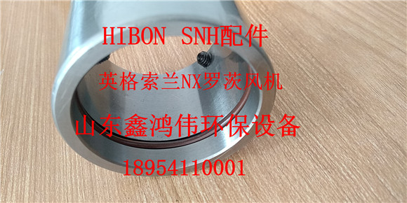 mmexport1585363129010.jpg